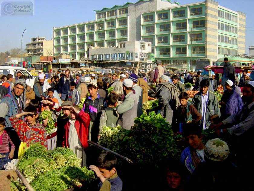 Vegetable Market